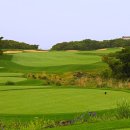 블랙스톤제주CC(대중형 18홀) 이미지