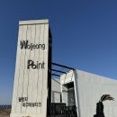 아쿠아뷰티크 | 제주 동쪽 숙소 월정리해수욕장 아쿠아뷰티크 내돈내산 후기