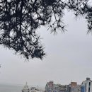 선창회포차 이미지