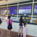 강원도 정선 회전하는 구름담은카페 & 동물농장 방문 체험 후기