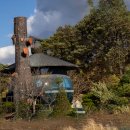 보은 삼년산성 이미지