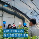 농업경영인영암군농장 | 충남농업마이스터 청년 CEO (딸기) 준비 과정 feat. 면접 &amp; 과정 후기