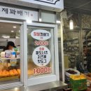 경성꽈베기