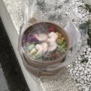 충주 연수동 데일리샐러드 포케맛집
