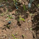 잘크는농장 이미지