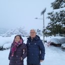 우덕초등학교 이미지