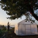 지영농장(2농장) 이미지