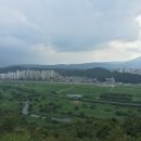 도안대로 이미지