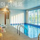 트리피아 더에코