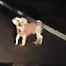 밀목주유소 이미지