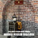 더현대 서울 해리포터 위자드몰 팝업스토어 어린왕자 호빗 해리포터 등 현장 방문 후기
