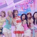 카라 - 부천시 원미구 석천로178번길 7 | 카라