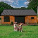 펜션톡민박 이미지