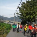 광천정기시장 이미지