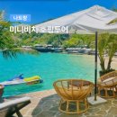 여행하기 좋은 날 | 투어 (스노쿨링 스쿠버다이빙 씨워커 제트스키) : 여행하기 좋은날 완벽 가이드: 특징과 선택 방법 총정리