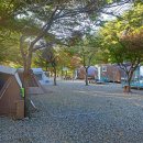 가족소풍펜션 이미지