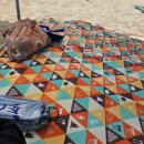 모라동물병원 | 7월의 기록