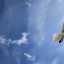 한국폴리텍 IV 대학 청주캠퍼스 이미지