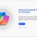 코파일럿 이미지