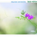 양덕동560 이미지