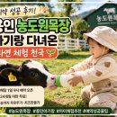 환영목장 | 용인 농도원목장 예약 성공 꿀팁 (4월 1일 9시 전쟁 후기 + 아기 체험 총정리)