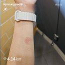 뛰어버렸노;;메바런🏃‍♀️🏃 이미지