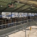 서귀포시축협 이미지