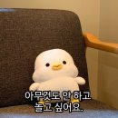정관장옥동점 - 안동시 광명로 162 | 아홉 번째 일상 포토덤프