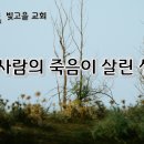 3월 10일(화) 한 사람의 죽음이 살린 생명 이미지