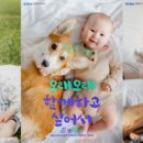 메리츠화재 이미지