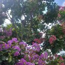 경기도 가든대학~~~ 이미지