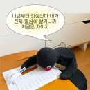 바르게살기공원 | 2025년 블로그 맞습니다