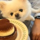 이선동물병원 이미지