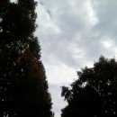 봉강가술로 이미지