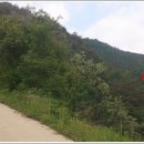 외갓집민박 이미지