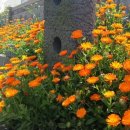 금서방네이층집 이미지