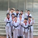 KTI한울태권도 이미지
