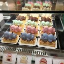 곰돌이맛집 이미지