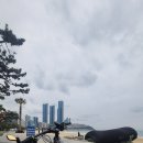 ⑤ Biking in Haeundae 이미지