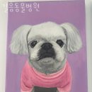 길음동물병원 이미지