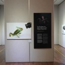 금산다락원 청산아트홀 이미지