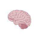 나은요양병원 이미지