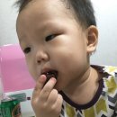보늬숲밤농장