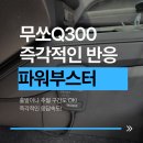 에스알파워 - 안양시 동안구 학의로 282 | 무쏘 Q300 파워부스터 장착 – 에스알퓨처에서 진행한 주행 성능 업그레이드 후기