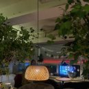 쉼빌딩 | 강남역 수면카페 추천 쉼스토리 후기 실내데이트로 쉬기 좋은 곳