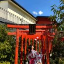 신의한수 뽑기방 | 오사카여행 4일차ㅣ마지막날에 온천 가야하는 이유! 소라니와온천 라피트 귀국 후기