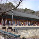 당우농장 Daum카페