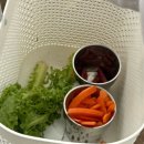 제주도 애월 새별프렌즈 동물원 솔직후기