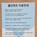 폴인캣츠 이미지