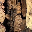 바다와소나무 이미지